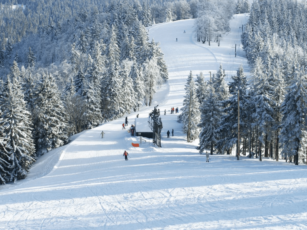 A serene ski slope in the French Alps surrounded by tall, snow-covered pine trees. Skiers glide down the groomed trail under bright winter sunlight, showcasing a quieter, less crowded resort experience.