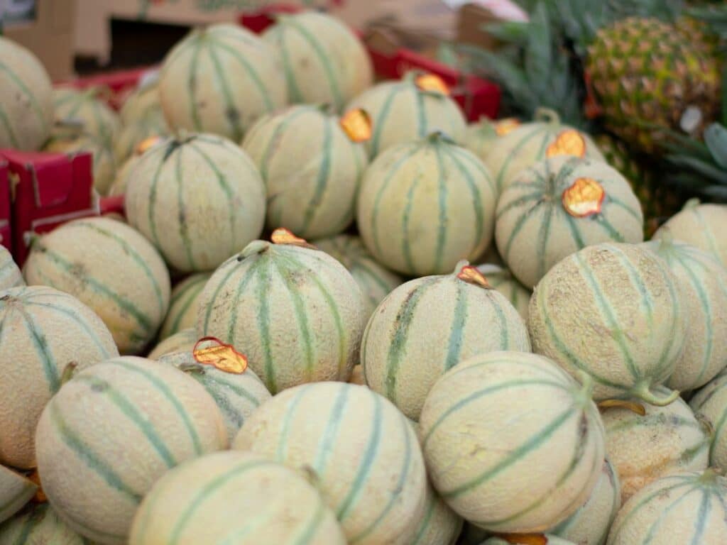 A table filled with charentais melons from France