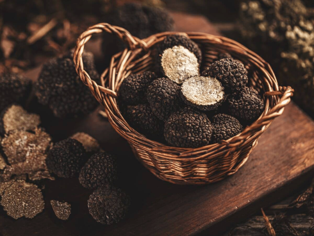 A basket of Truffles from Sarlat in France