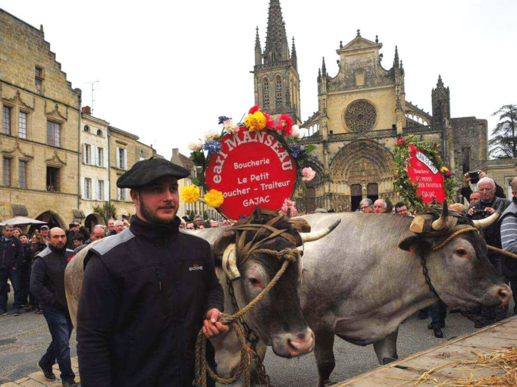 A man leading cattle down a street in France with a church in the background