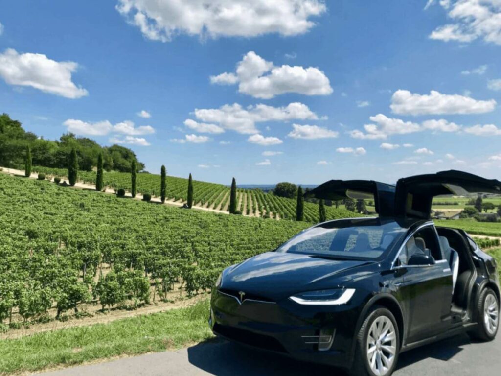 A Tesla car parked with vines behind