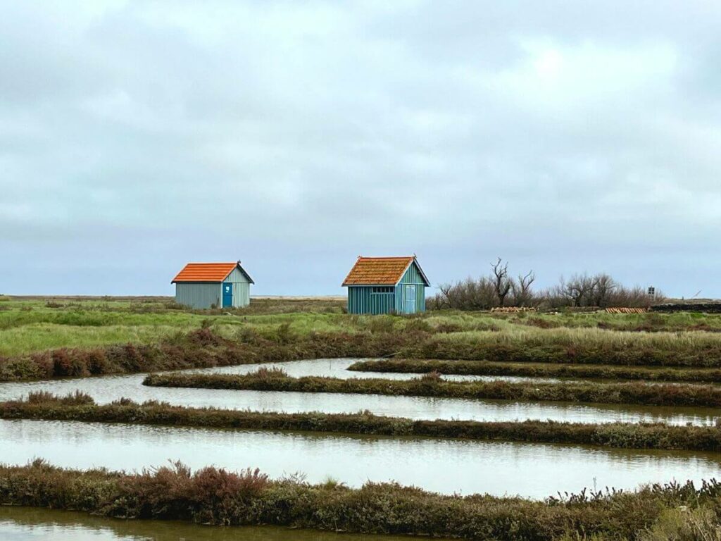Two coloured huts stood on grass in the salt marshes in France
