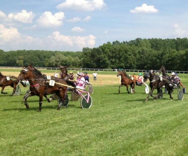 Horses being raced with traps and harnesses
