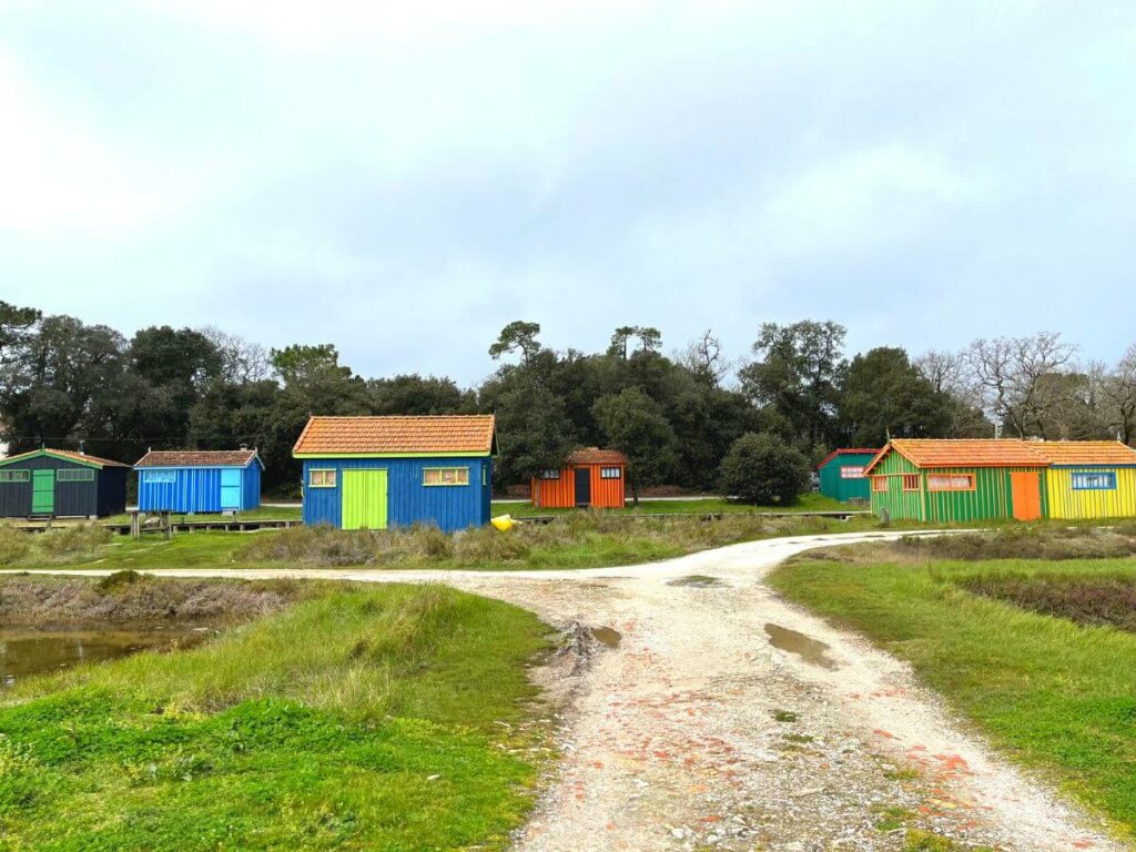 Coloured huts scattered around on the grass in Fort Royer