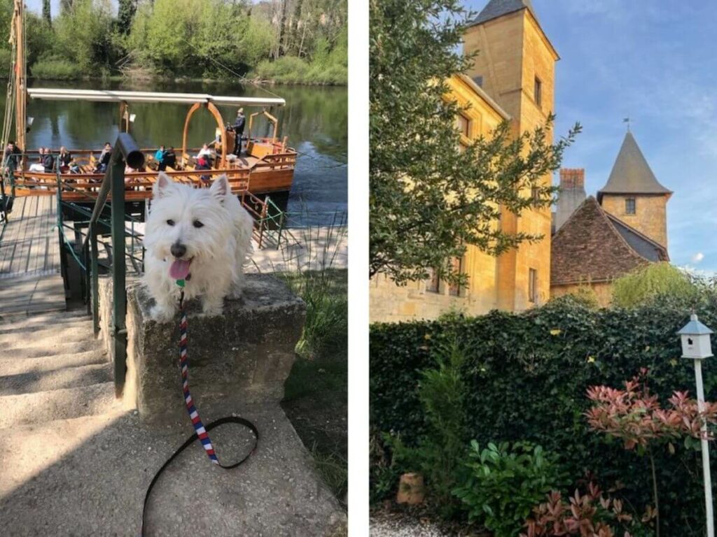 An old church building in France and a dog sat by the water