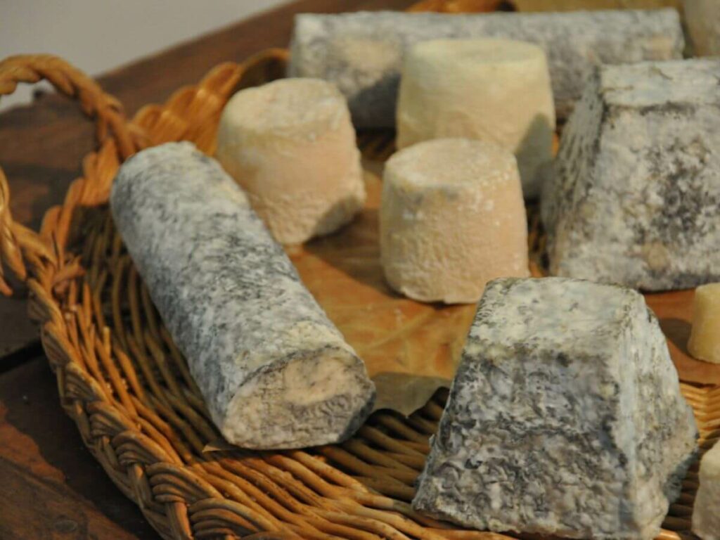A tray with different goat cheese