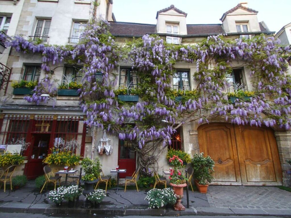 A street in Paris with buildings covered in purple wisteria and some wooden garage doors showing. The buildings have three floors and there are cafe tables and chairs outside