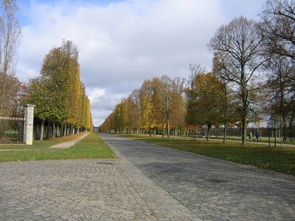A long driveway with trees either side and a blue cloudy sky above