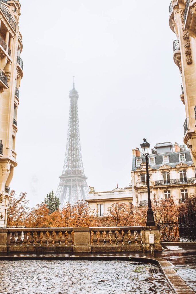 The Eiffel Tower rises into a misty sky, framed by the elegant Haussmann-style buildings of Paris on either side. Autumn-colored trees line the foreground, and the wet cobblestone street reflects the soft, diffuse light of an overcast day.