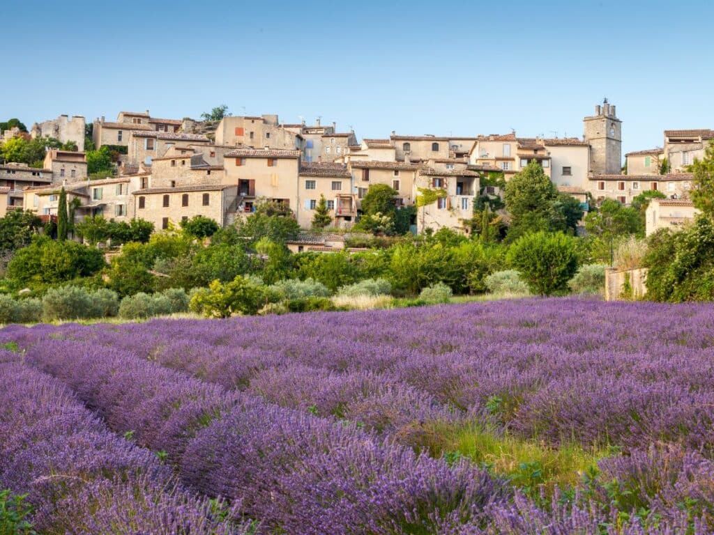 GPT Lavender fields bloom in the foreground of a quaint hilltop village under a clear blue sky. The rustic charm of the village's stone houses, with their terracotta roofs and green shutters, evokes a serene, pastoral atmosphere.