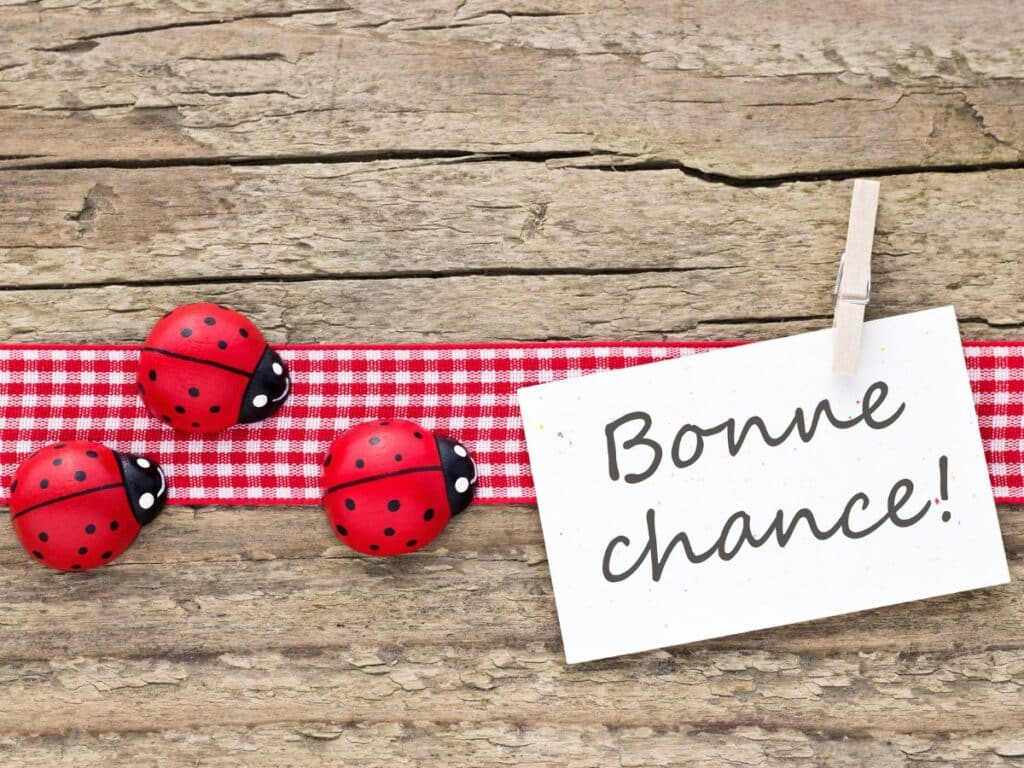 GPT Three decorative ladybugs on a red and white checkered ribbon pinned to a rustic wooden surface with a card reading "Bonne chance!" attached by a clothespin, conveying a message of good luck in French.