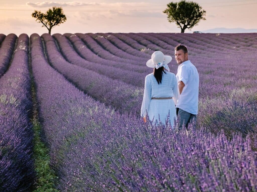 A couple walks hand-in-hand through a vibrant lavender field at dusk, the woman wearing a white hat and the man in a casual white shirt, looking back towards the camera with a serene expression.