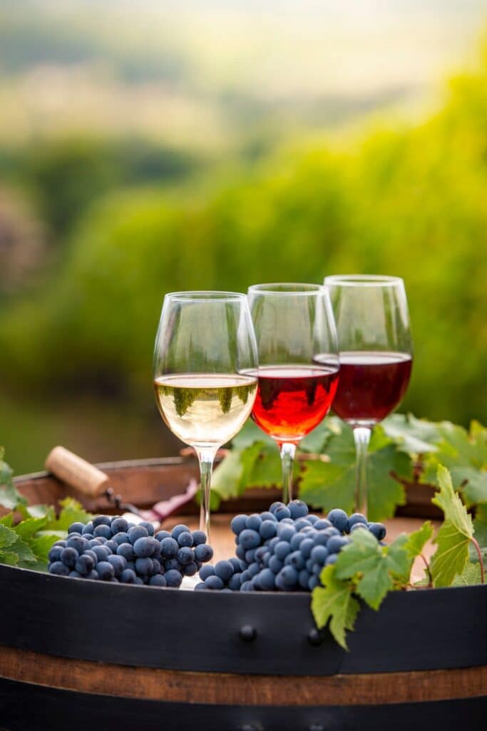 Three wine glasses containing white, rosé, and red wine are arranged on a wooden barrel. Below the glasses, there is a cluster of dark blue grapes accompanied by vine leaves and a cork. The lush green landscape of a vineyard softly blurs into the background, creating a serene and inviting setting.