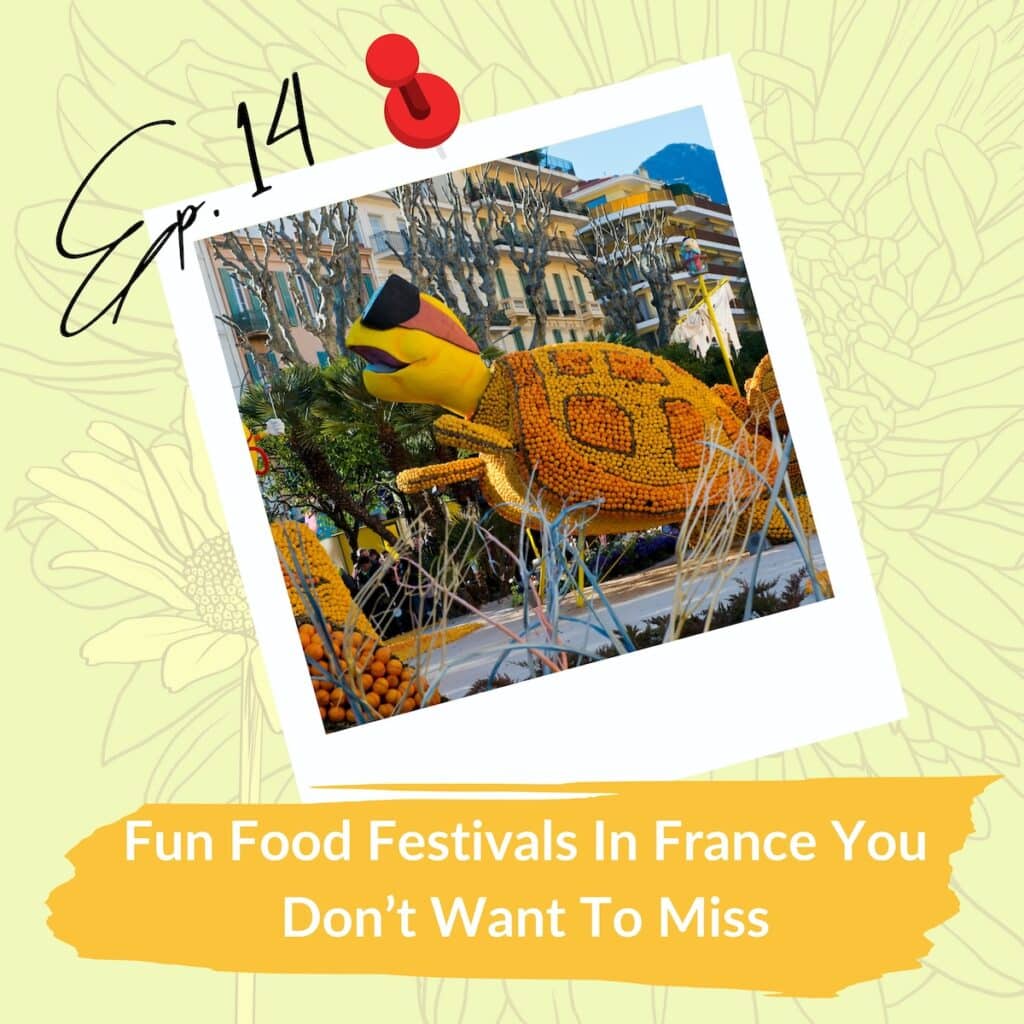 A promotional graphic for Episode 14 of a series, featuring a large sculpture of a turtle made from oranges at a French food festival. The text reads "Fun Food Festivals In France You Don’t Want To Miss" on a yellow banner, with a red pushpin graphic at the top and a floral background.