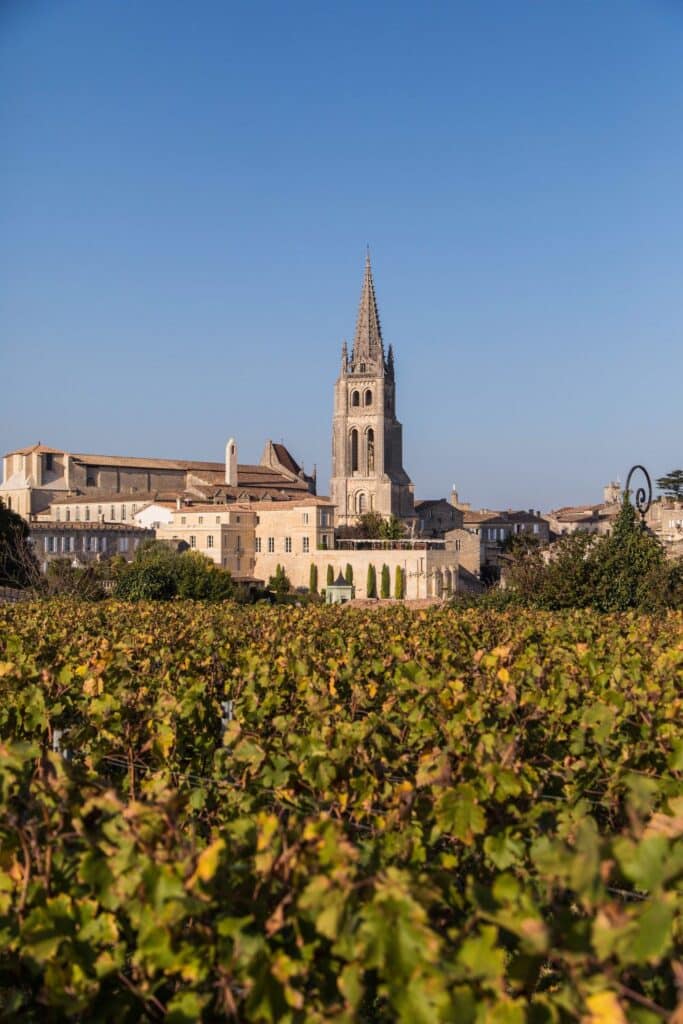 A historic stone church with a pointed spire rises above an expansive vineyard in Saint-Émilion, near Bordeaux. The foreground is densely filled with rows of mature grapevines under a clear blue sky, leading up to the elegant, medieval architecture of the church and surrounding buildings, creating a picturesque and tranquil scene.
