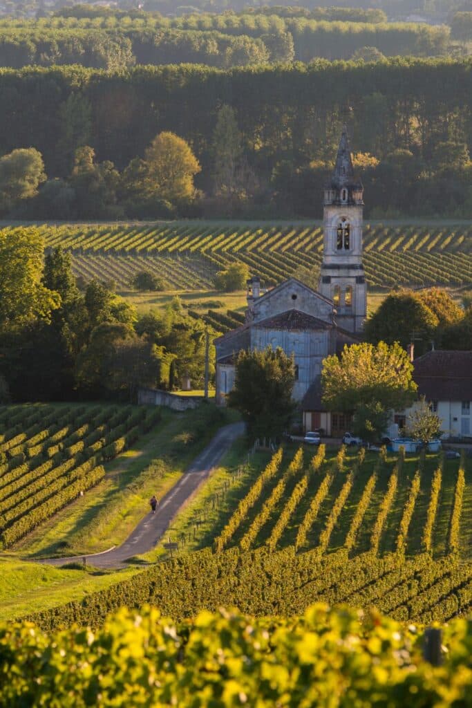 A rural scene in the Sauternes region, highlighted by a majestic church with a tall spire nestled among lush vineyards. The vine rows are bathed in golden sunlight, with dense trees in the background creating a vivid contrast. A small road winds its way past the church, where a person is seen walking, adding a sense of scale and tranquility to the idyllic landscape.