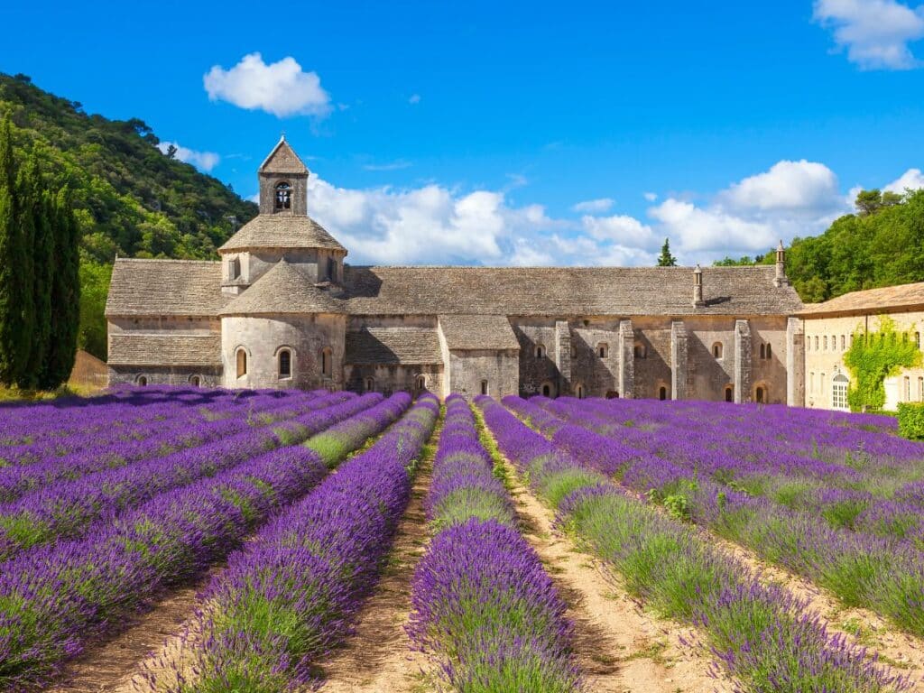 The Abbaye Notre-Dame de Sénanque, a historic stone abbey, surrounded by blooming purple lavender fields under a bright blue sky.