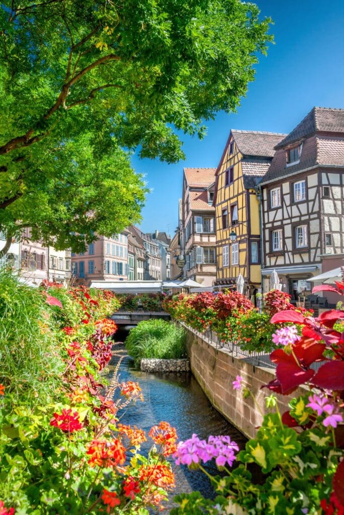A vibrant row of half-timbered houses along a calm canal in Colmar, Alsace. The colorful facades, featuring shades of pink, blue, yellow, and red, reflect the region's signature architecture, with flowers blooming along the water’s edge.