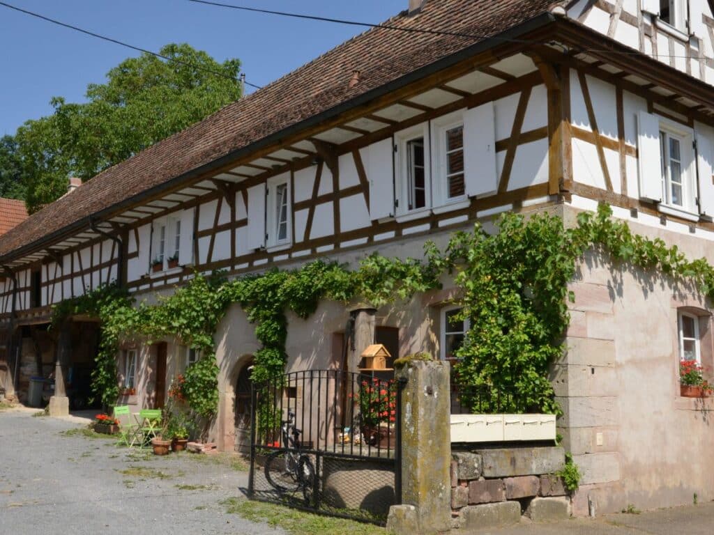 A traditional Alsatian house in Hunspach, with white walls and dark timber framing, covered in vines and surrounded by greenery. The quaint setting includes a small yard with a patio, offering a peaceful glimpse into village life.