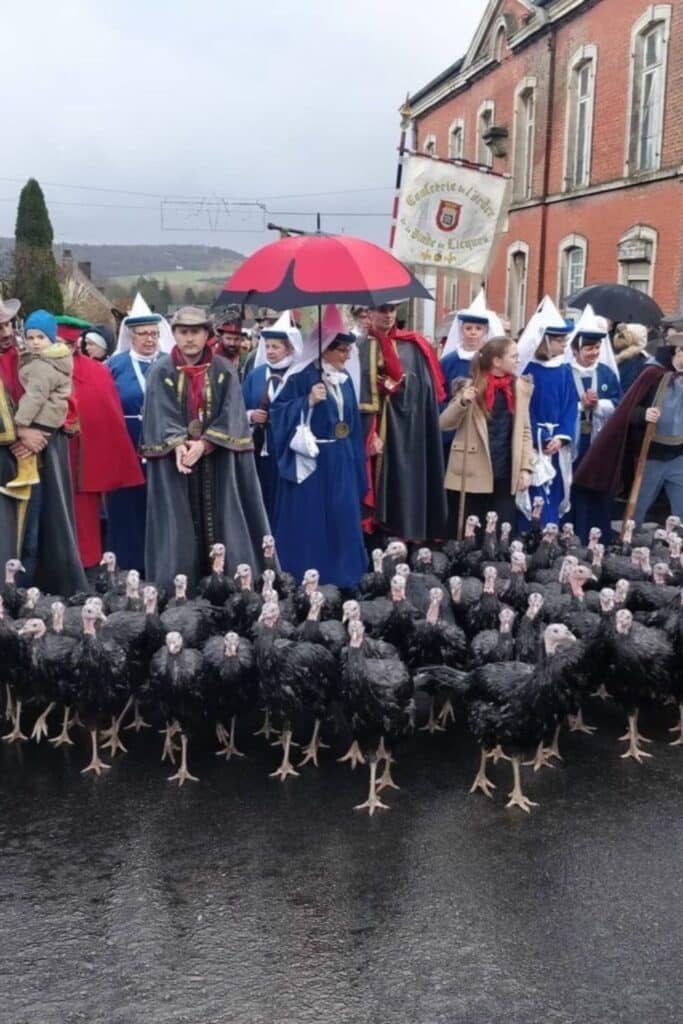 A crowd of people dressed in traditional costumes and robes stand behind a large group of black turkeys, participating in a parade on a wet street.