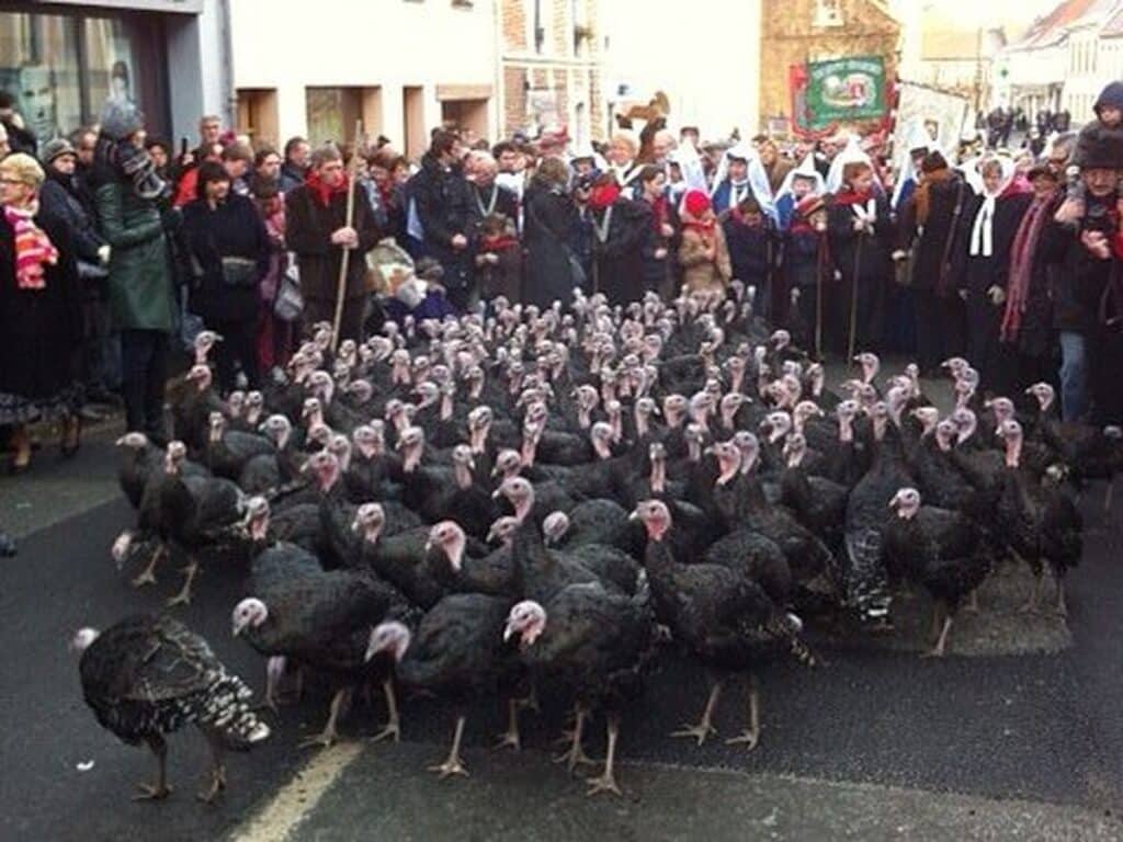 A close-up of a large flock of black turkeys walking down a street, surrounded by onlookers dressed warmly in coats, some holding sticks or banners.