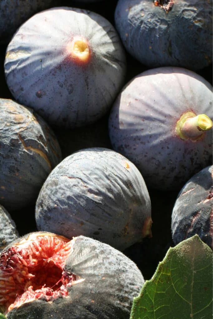 A close-up of several dark purple figs, some whole and one partially eaten, displaying the juicy red flesh inside.