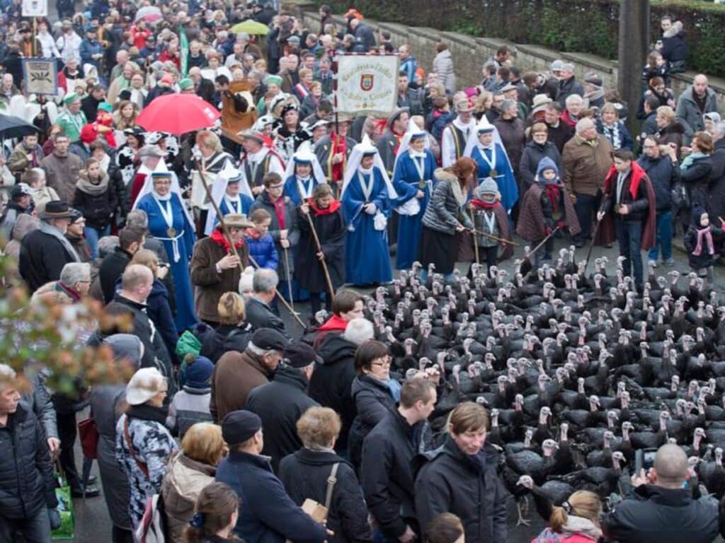 A street parade where a large group of black turkeys is herded down the street by people in traditional French costumes, surrounded by a crowd of spectators.