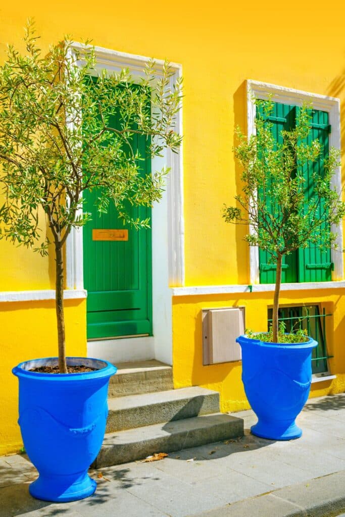 Bright yellow building facade with a vibrant green door, flanked by two large blue pots containing olive trees. The combination of bold colors and plants creates a cheerful, eye-catching entryway.