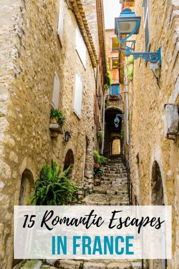 A quaint cobblestone alley framed by historic stone houses and vibrant plants, showcasing the intimate charm of small French villages.
