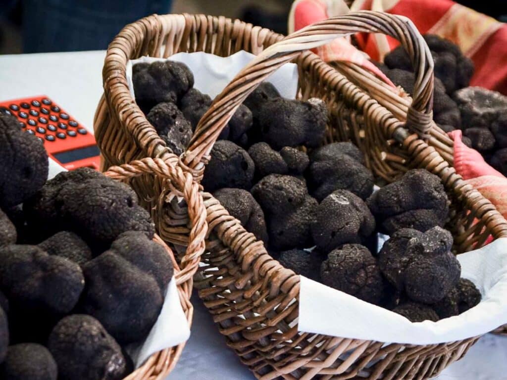 Baskets filled with fresh black truffles displayed at the Fête de la Truffe in Sarlat, a renowned January event in France dedicated to gourmet truffle appreciation.