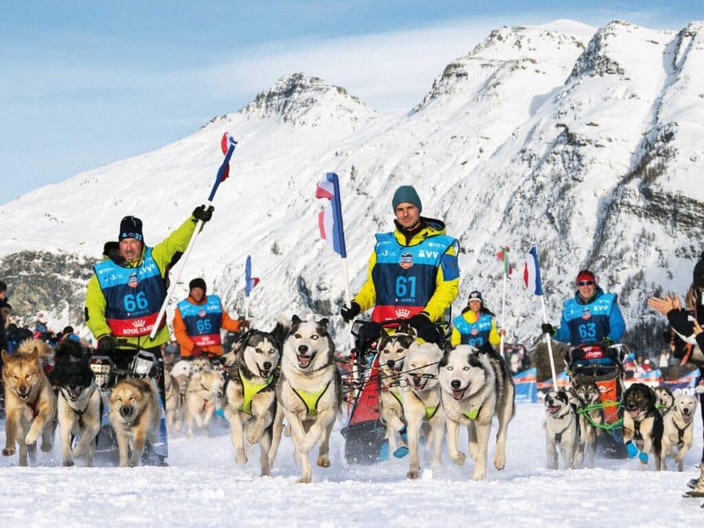 A thrilling dog sledding race set against snowy Alpine peaks, part of the unique events in January in France that celebrate winter sports and adventure.