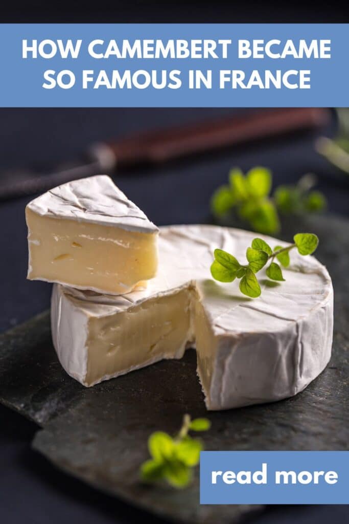 A wedge of camembert cheese cut from a round wheel, with a fresh herb garnish, showcasing its creamy texture and popularity in France.