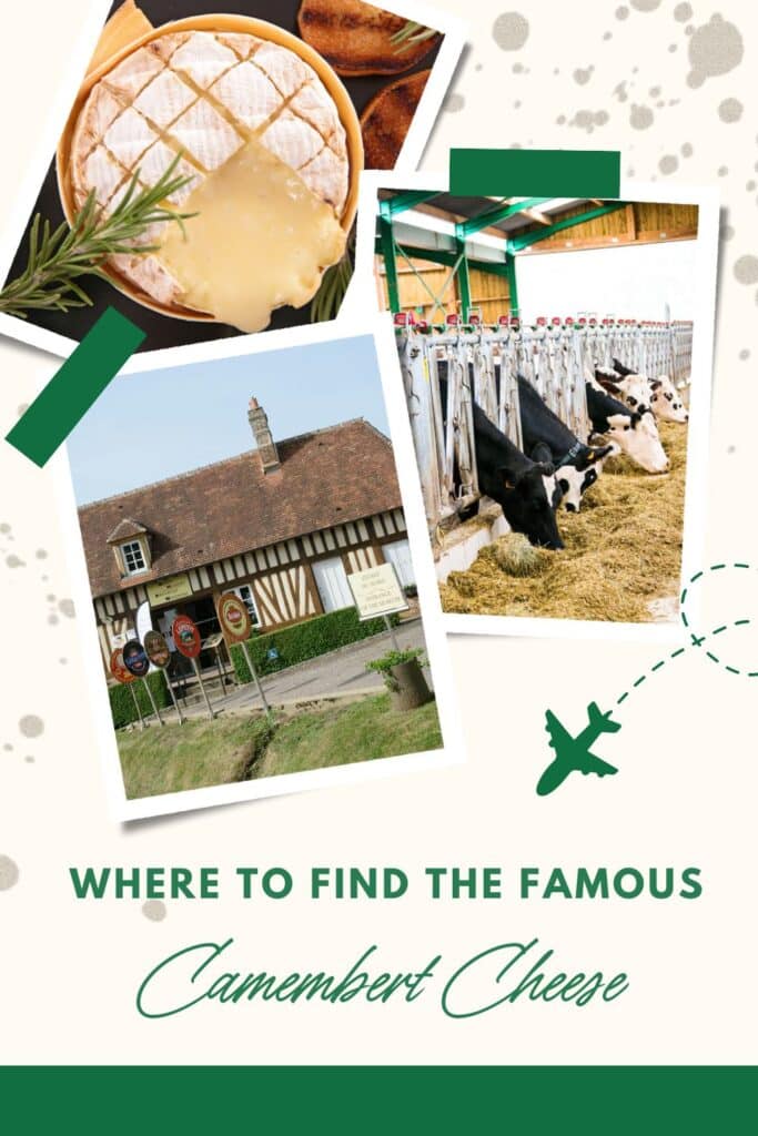 A collage featuring images of baked camembert cheese, dairy cows in a barn, and a traditional Normandy building, highlighting key locations to discover camembert cheese.