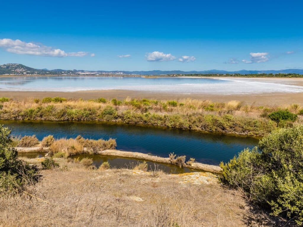 Expansive view of the Giens Peninsula and shimmering salt pans in Hyères, framed by wild grasses and reflecting the coastal charm of the South of France.