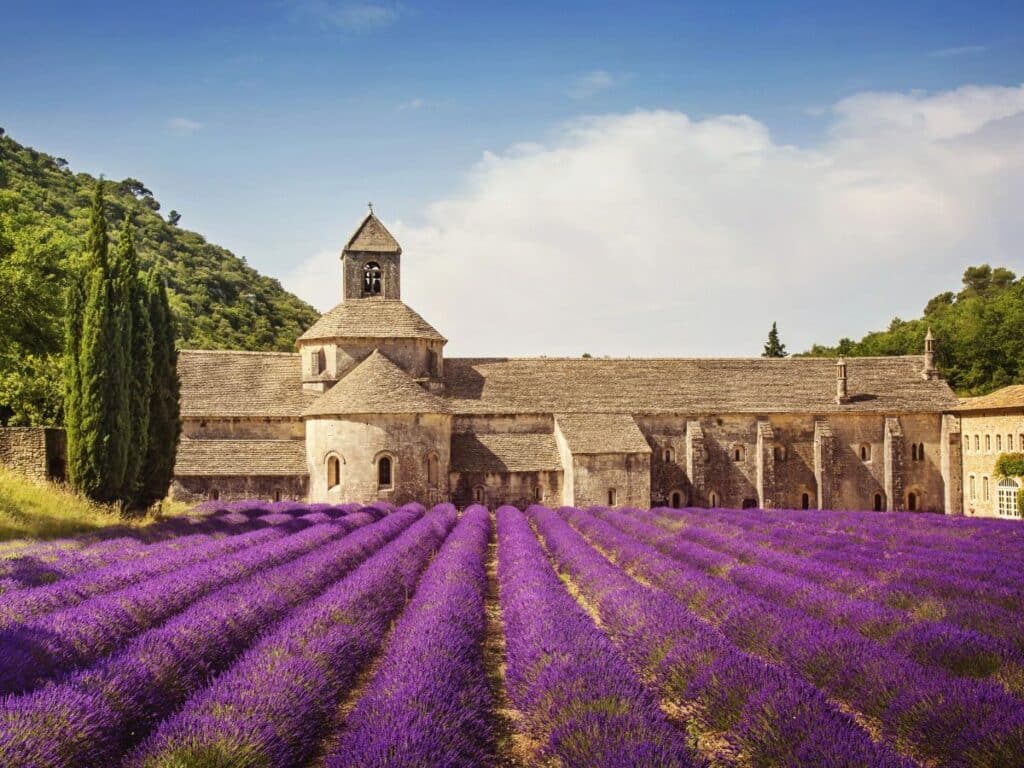 Rows of vibrant purple lavender lead up to the stone façade and bell tower of the Abbaye de Sénanque, a serene 12th-century Cistercian abbey nestled in Provence, France.